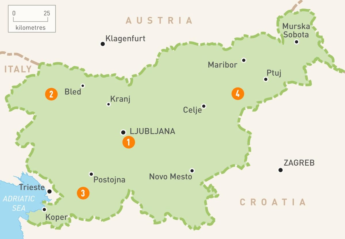 Harta e Sllovenisë regjione